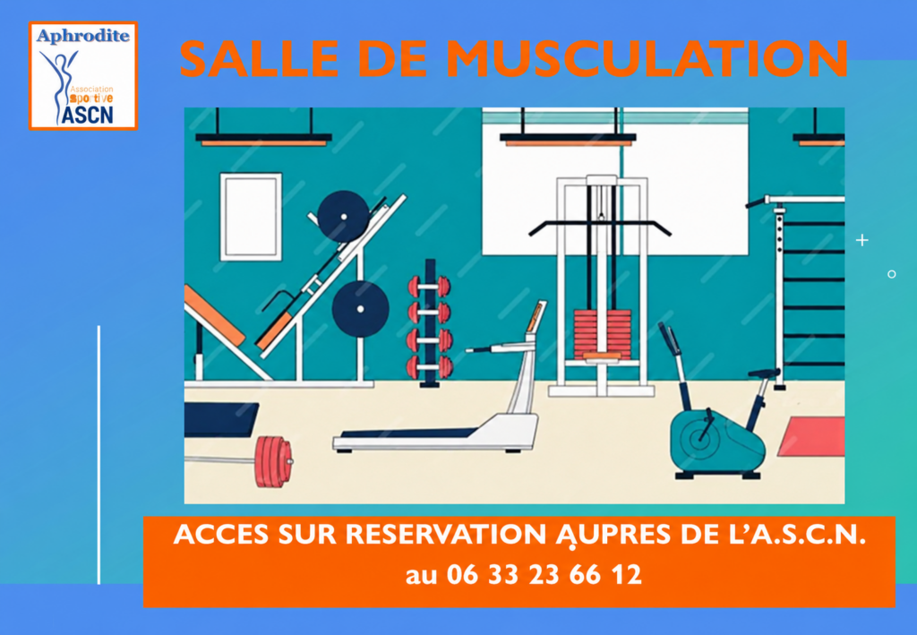 salle de musculation